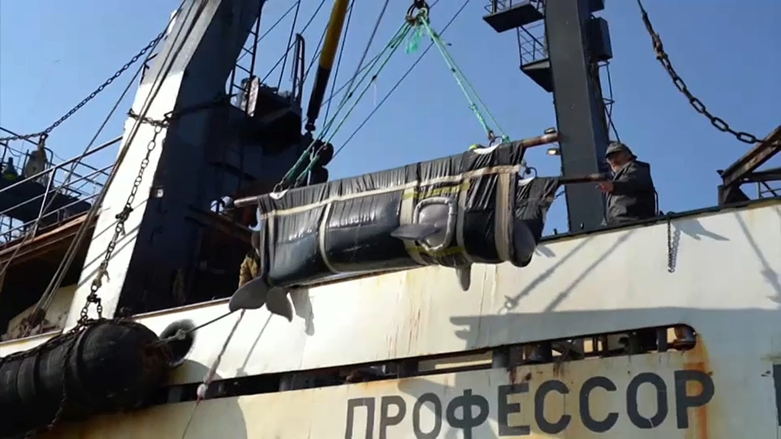 Эвакуация последних "узников китовой тюрьмы"