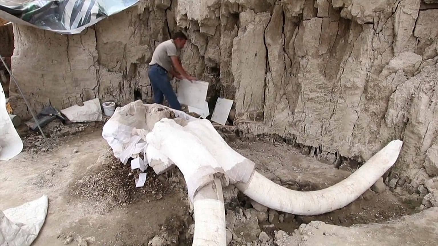 México desentierra secretos milenarios sobre la caza de los mamuts