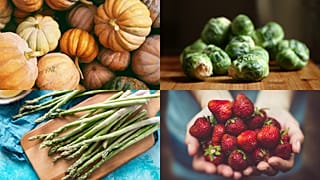 Seasons