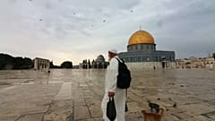 شاهد: فلسطيني يطعم الطيور والهررة في باحة المسجد الأقصى منذ 20 عاماً