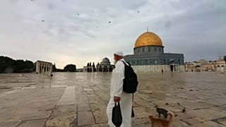 شاهد: فلسطيني يطعم الطيور والهررة في باحة المسجد الأقصى منذ 20 عاماً