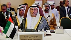 وزير الدولة للشؤون الخارجية الإماراتية أنور قرقاش