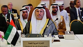 وزير الدولة للشؤون الخارجية الإماراتية أنور قرقاش