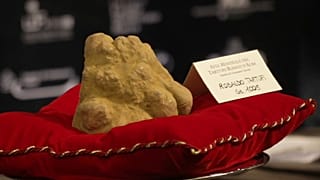 Asta del tartufo bianco d'Alba: prezzi-record per la ventesima edizione
