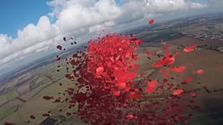 750,000 poppies dropped over the Battle of Britain memorial as part of Remembrance day