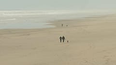 France : mystérieux arrivages de drogue sur les plages de l'Atlantique
