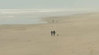France : mystérieux arrivages de drogue sur les plages de l'Atlantique