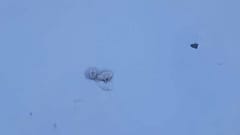 Helikopter-Rettung: Kletterer befreien norwegische Schafe aus dem Schnee