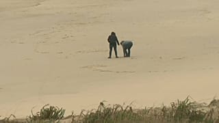 Кокаиновые дары моря