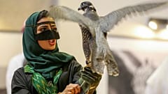 فیلم تبلیغی عربستان: فمینیسم، الحاد و همجنسگرایی افراطی‌گری است