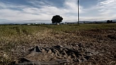 KÉPÜNK CSUPÁN ILLUSZTRÁCIÓ - A GÖRÖG HATÁS ÉS A SENKI FÖLDJA
