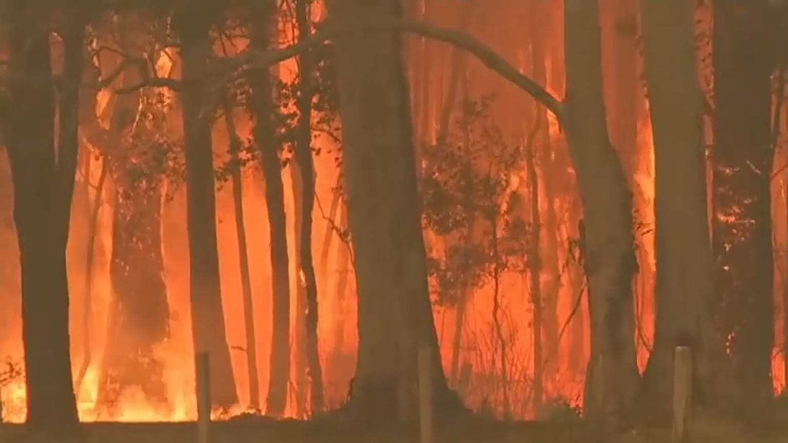Les incendies en Australie s'intensifient et se rapprochent de Syndey