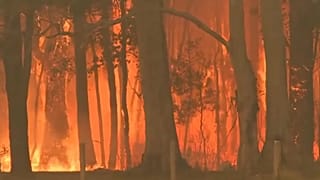 Les incendies en Australie s'intensifient et se rapprochent de Syndey