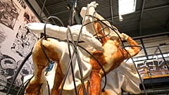 "Prometheus Delivered": Bakterien fressen Kunstwerk