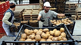 Türkiye'de en çok gençler işsiz, işi olanların da geliri düşük