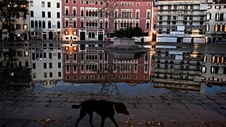 Рекордно высокая вода