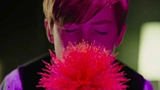 'Little Joe': la historia de una flor caprichosa que da la felicidad