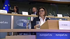 Rumänin Vălean wird neue EU-Verkehrskommissarin