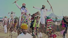 Hindistan'daki deve festivaline dört yüz bin kişi katıldı