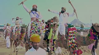 Hindistan'daki deve festivaline dört yüz bin kişi katıldı