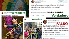 Bolivia: ¿Son verdaderos los tuits insultantes con los indígenas de Jeanine Áñez?