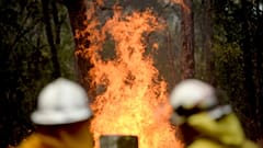 Αυστραλία: Μεγάλη μάχη με τις δεκάδες φωτιές 