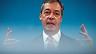 Brexit Party leader Nigel Farage in Ilford, Britain, November 13, 2019.