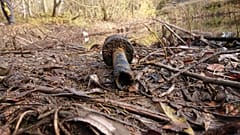 German children fish out WWII ammunition from pond