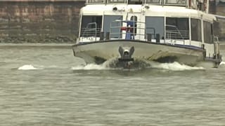 Dreckschleuder Donauschiff: Miese Luft von Passau bis Budapest