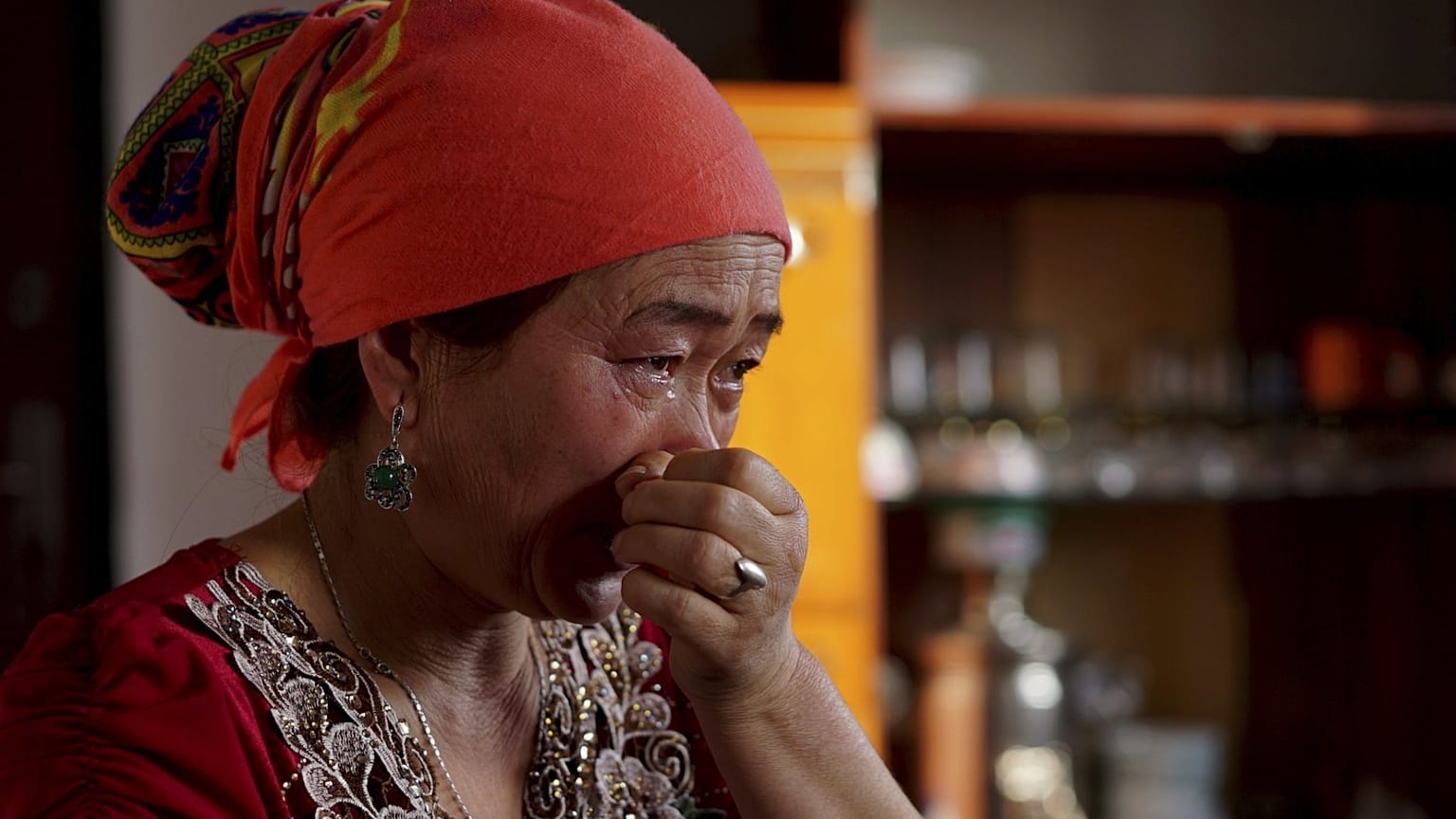 Eşi Çinli otoritelerce gözaltına alınarak toplama kampına gönderilen Uygur Türkü Mahinur Medetbek