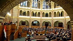 Újra leszavazta a Fidesz Zente és Levente sorstársainak állami segítését