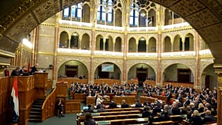 Újra leszavazta a Fidesz Zente és Levente sorstársainak állami segítését
