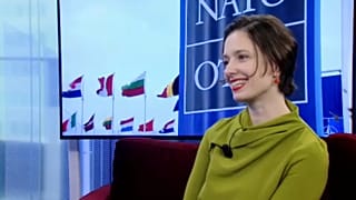 Госдеп США о НАТО по-русски