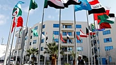 جامعة الدول العربية