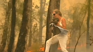 Incêndios florestais colocam Austrália sob alerta