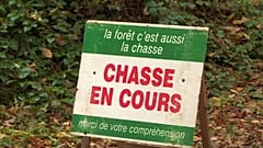 Le témoignage poignant du conjoint d'Elisa Pilarski, tuée par des chiens en France
