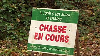 Le témoignage poignant du conjoint d'Elisa Pilarski, tuée par des chiens en France