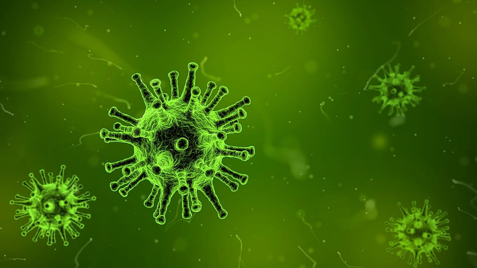 Neues Coronavirus verursacht mysteriöse Lungenentzündungen