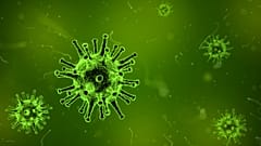 Doctors repatriated to Netherlands and UK after Dutch doctor dies of Lassa virus in Sierra Leone