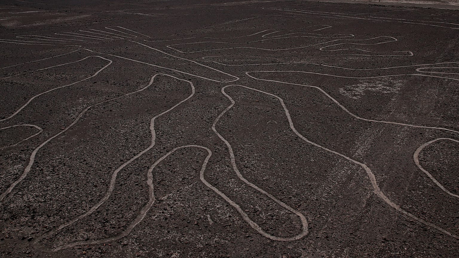 Imágenes de las Líneas de Nazcar durante el rally Dakar en Perú, el 8 de enero de 2019. 