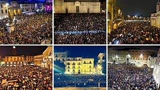 Sardinen-Protest in Italien: Salvini antwortet mit Kätzchen-Fotos