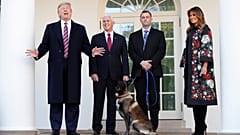 "Wenn Sie den Mund aufmachen": Trump ehrt Hund Conan - 10 Bilder