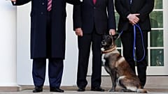 Trump, Suriye'de Bağdadi'yi kovalayan köpeği tanıttı