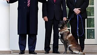Trump, Suriye'de Bağdadi'yi kovalayan köpeği tanıttı