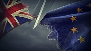 Fransa: İngiltere Brexit sonrası bir ticaret anlaşması istiyorsa AB standartlarına riayet etmeli