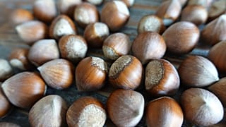 2019'da fındık ihracatında rekor bekleniyor