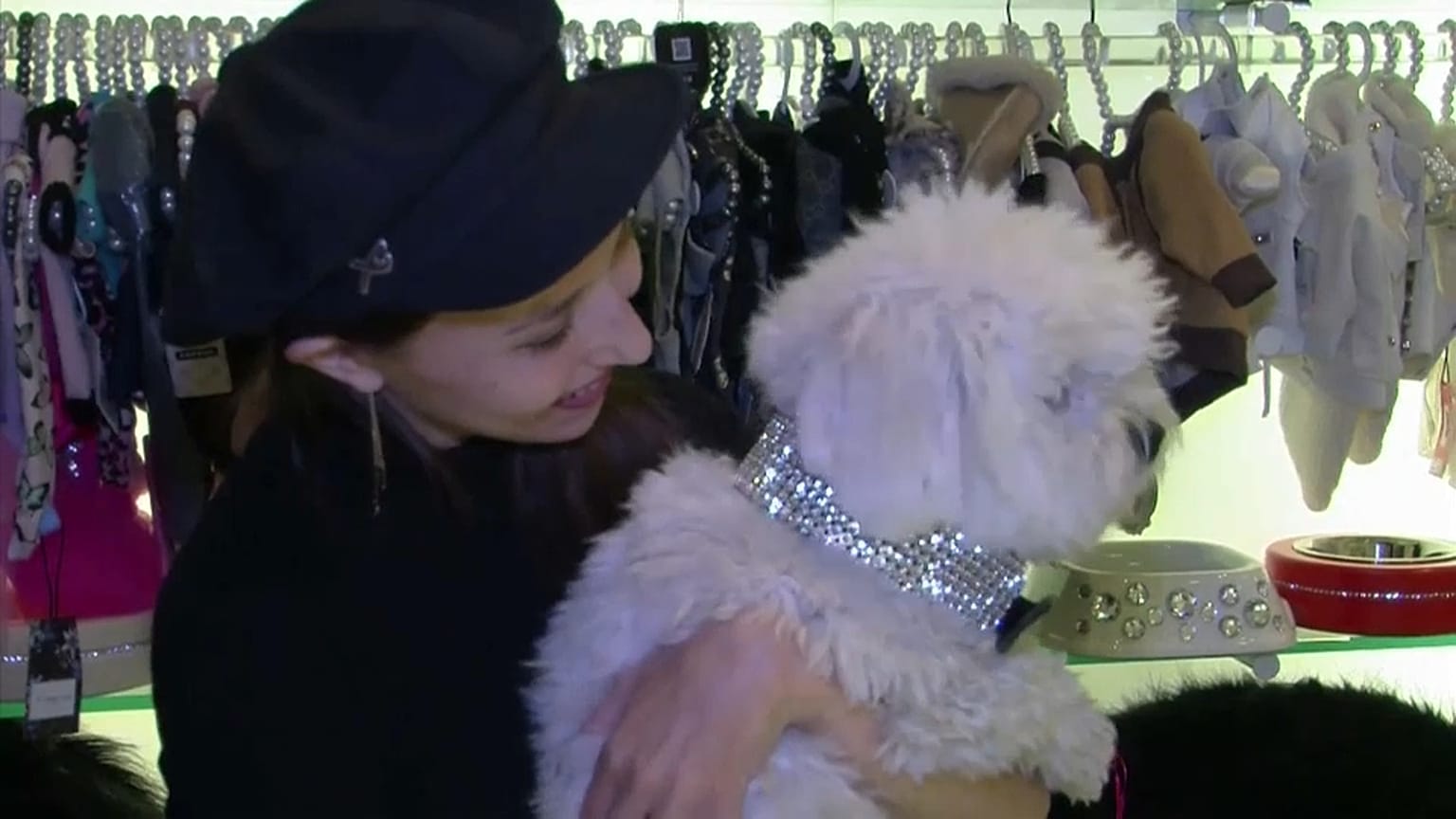 Hunde in Cashmere und Bling zu Weihnachten