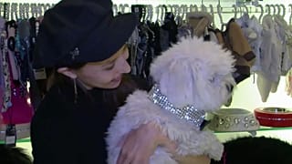 Hunde in Cashmere und Bling zu Weihnachten