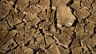 A view shows dried cracked up soil on the edge of the Lake Wegnia, in Sahel region of Koulikoro