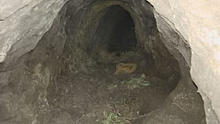 Álcázott, illegális alagutak a szerb-magyar határ alatt